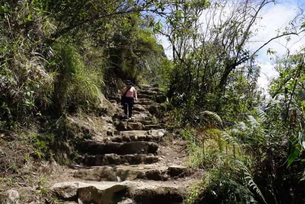 huayna picchu