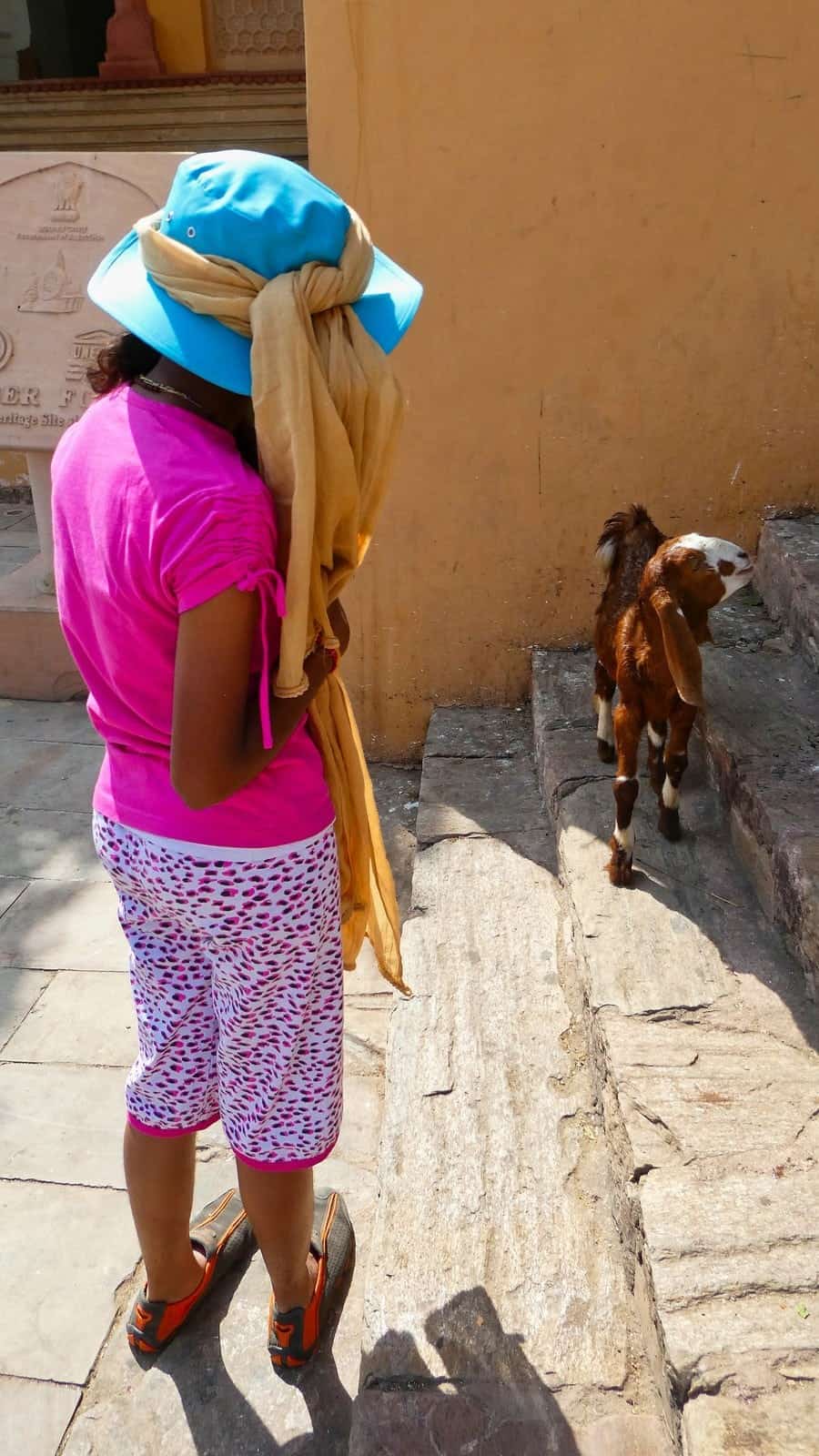 faces of india