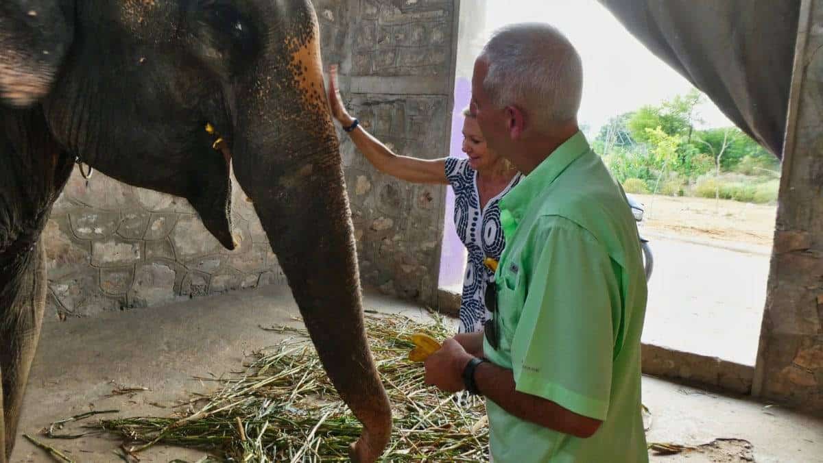 elephant sanctuary