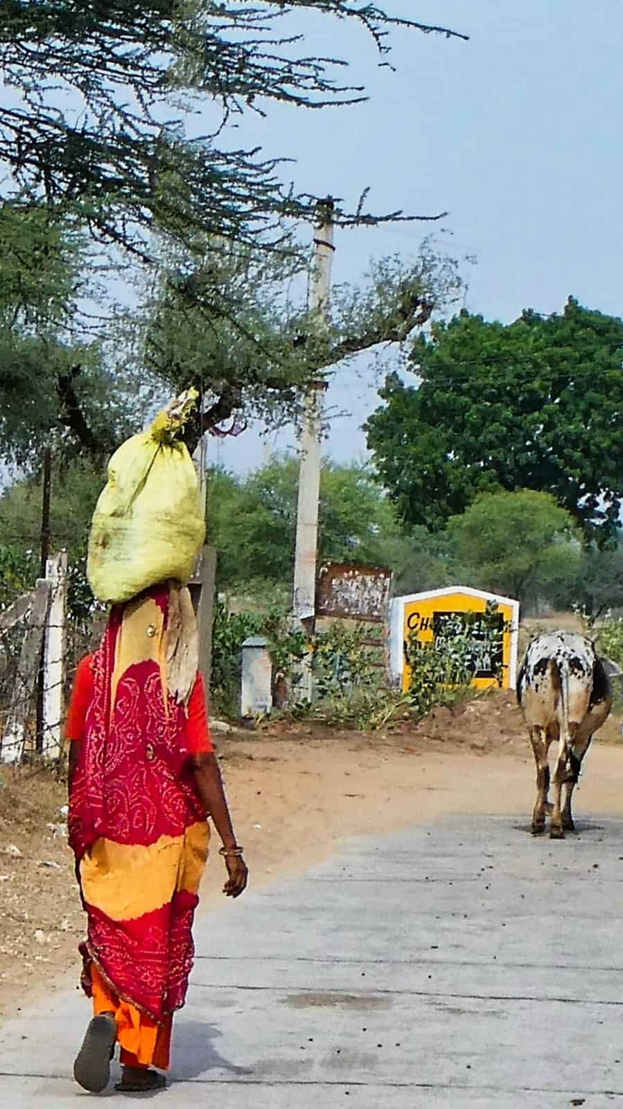 faces of india