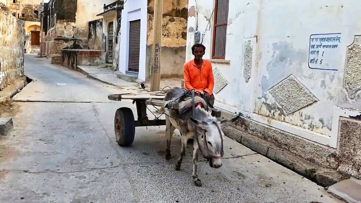 faces of india