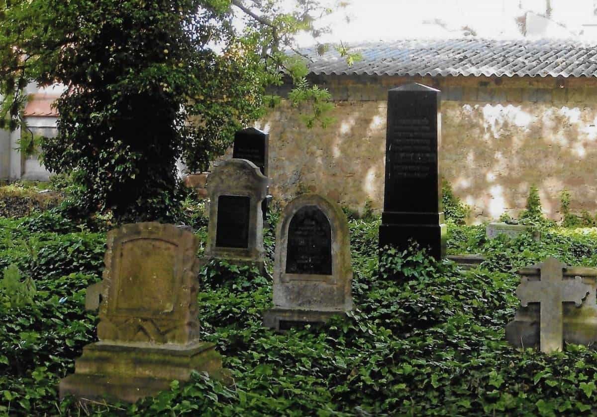 ancestrydna grave