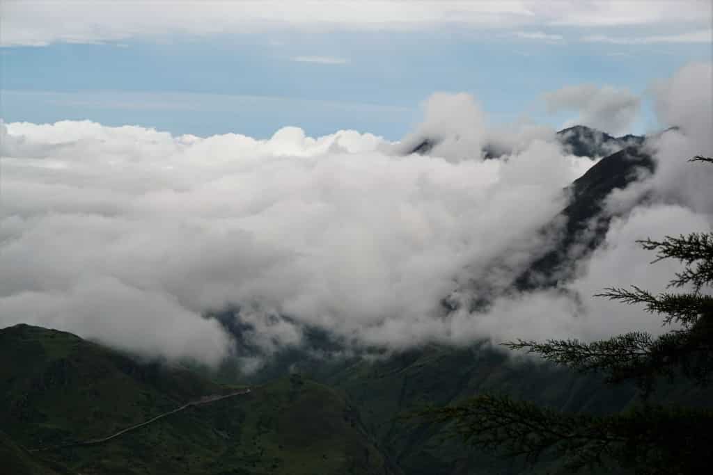 cloud forest