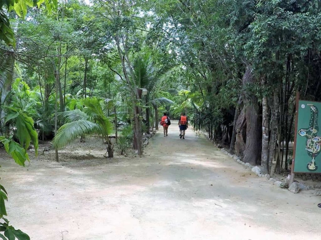 cenotes