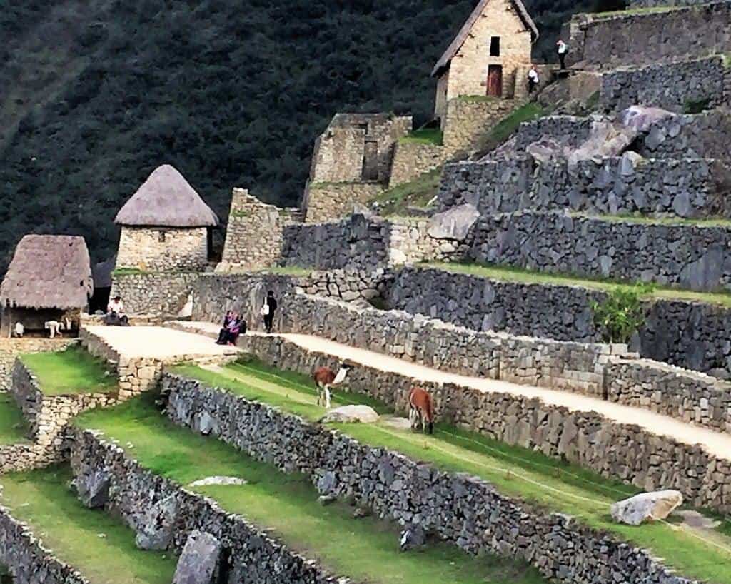 machu-picchu-3