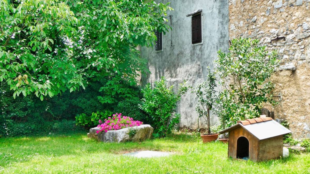 karst slovenia