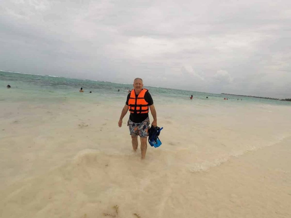 playa del carmen sea turtles