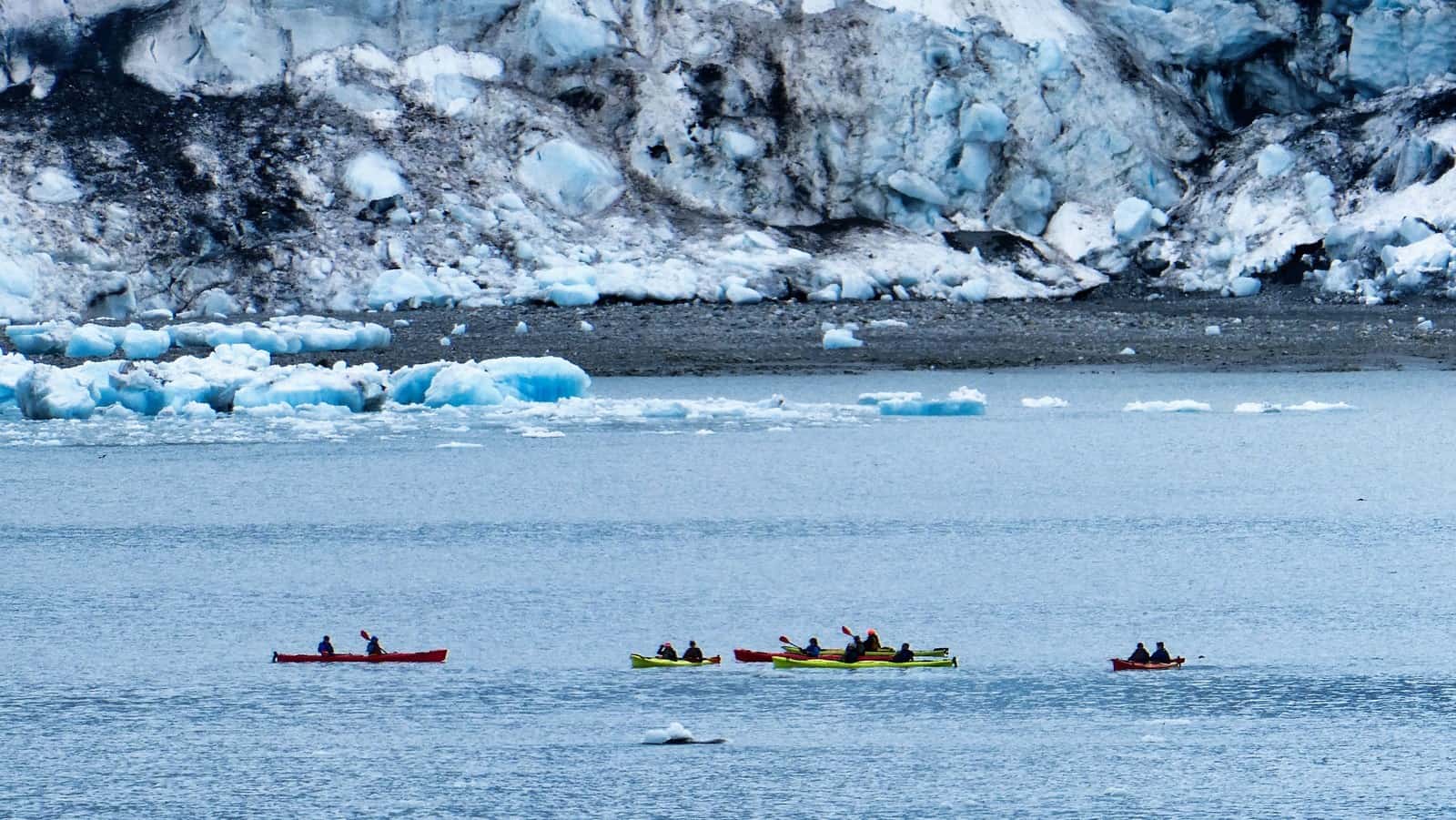 Glacier Bay Alaska