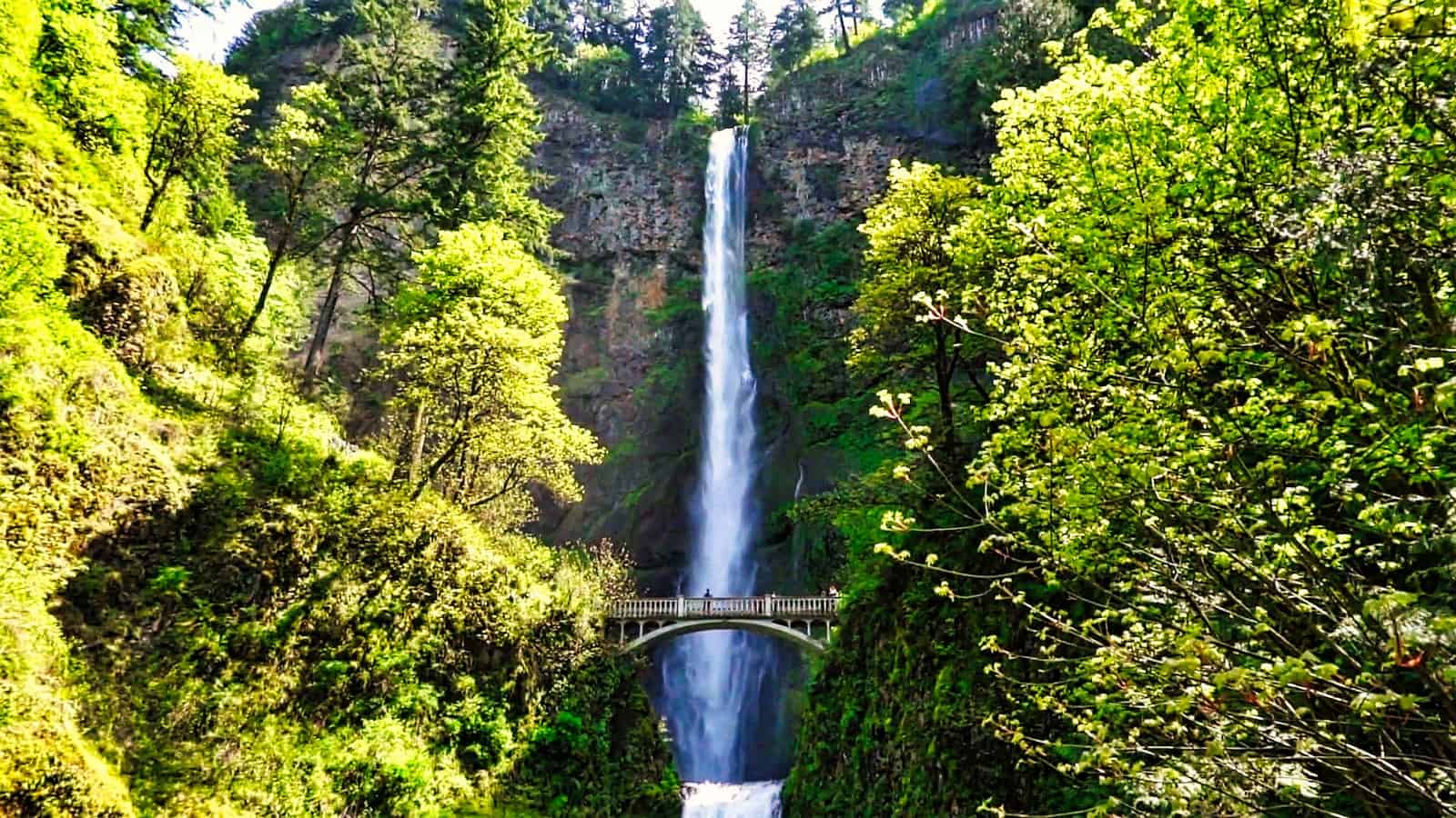 Columbia Gorge Wine