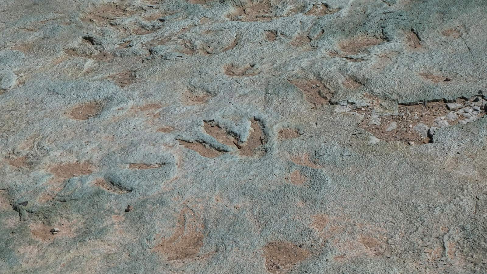 utahs national parks dino tracks