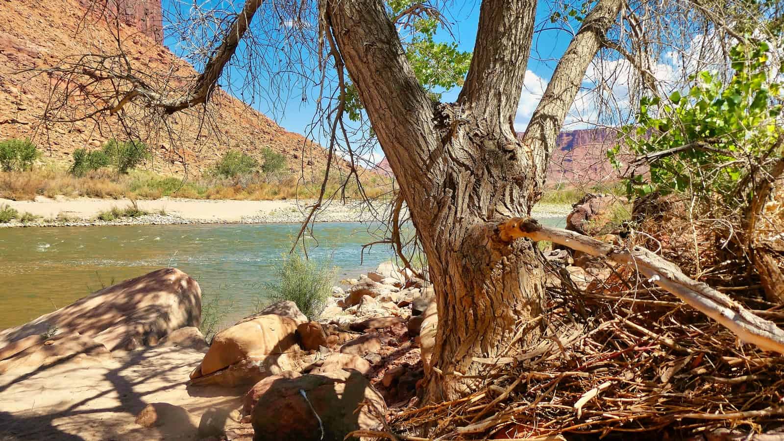 utahs national parks rafting