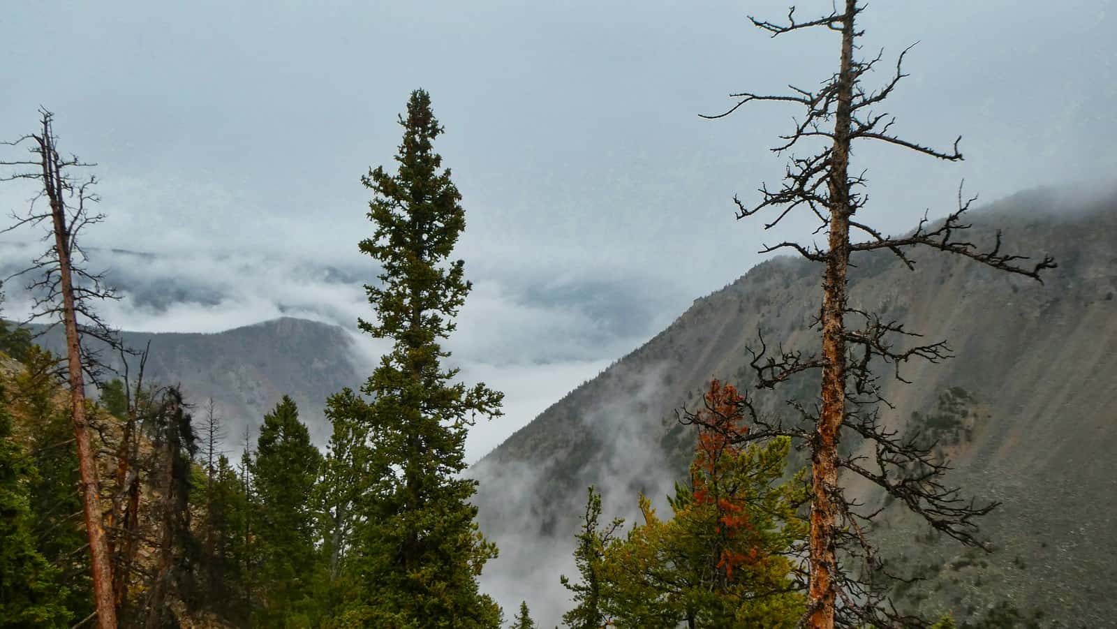 bear tooth pass