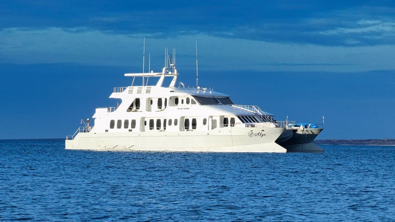 Galapagos cruise - Alya