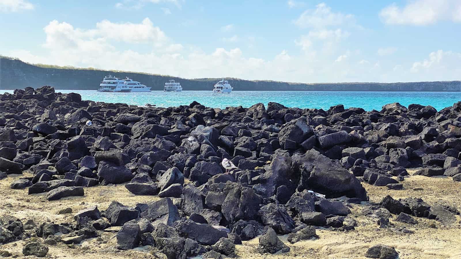 Galapagos Cruise