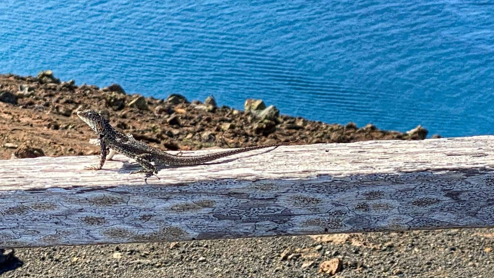 bartolome Island