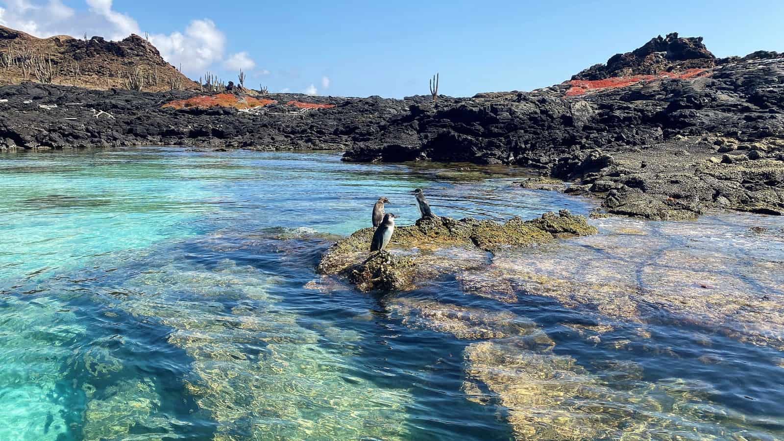 Chinese Hat Island