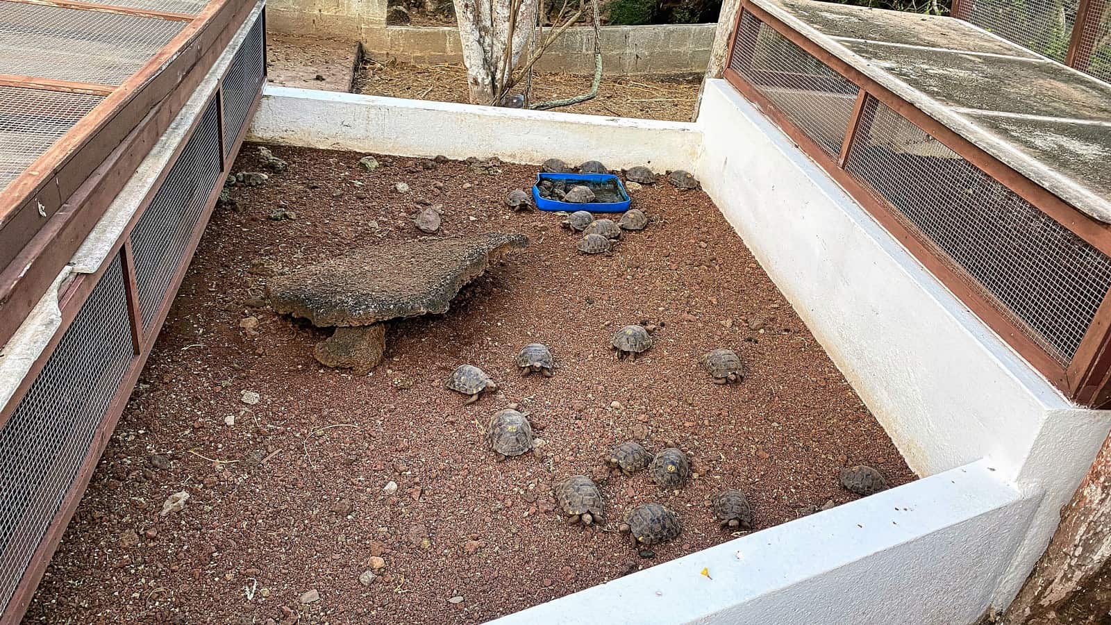 Galapagos Darwin Center