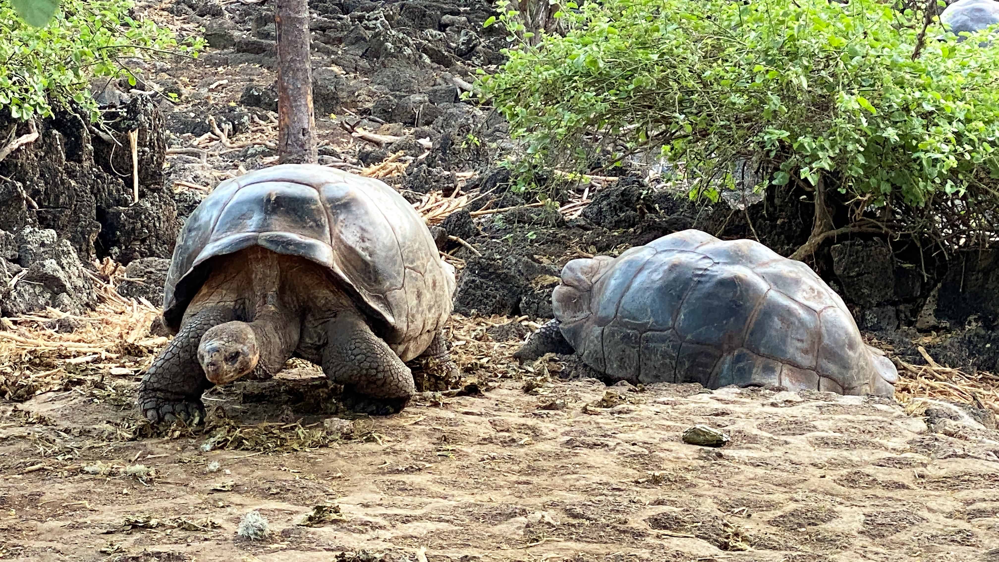 galapagos cruise darwin center