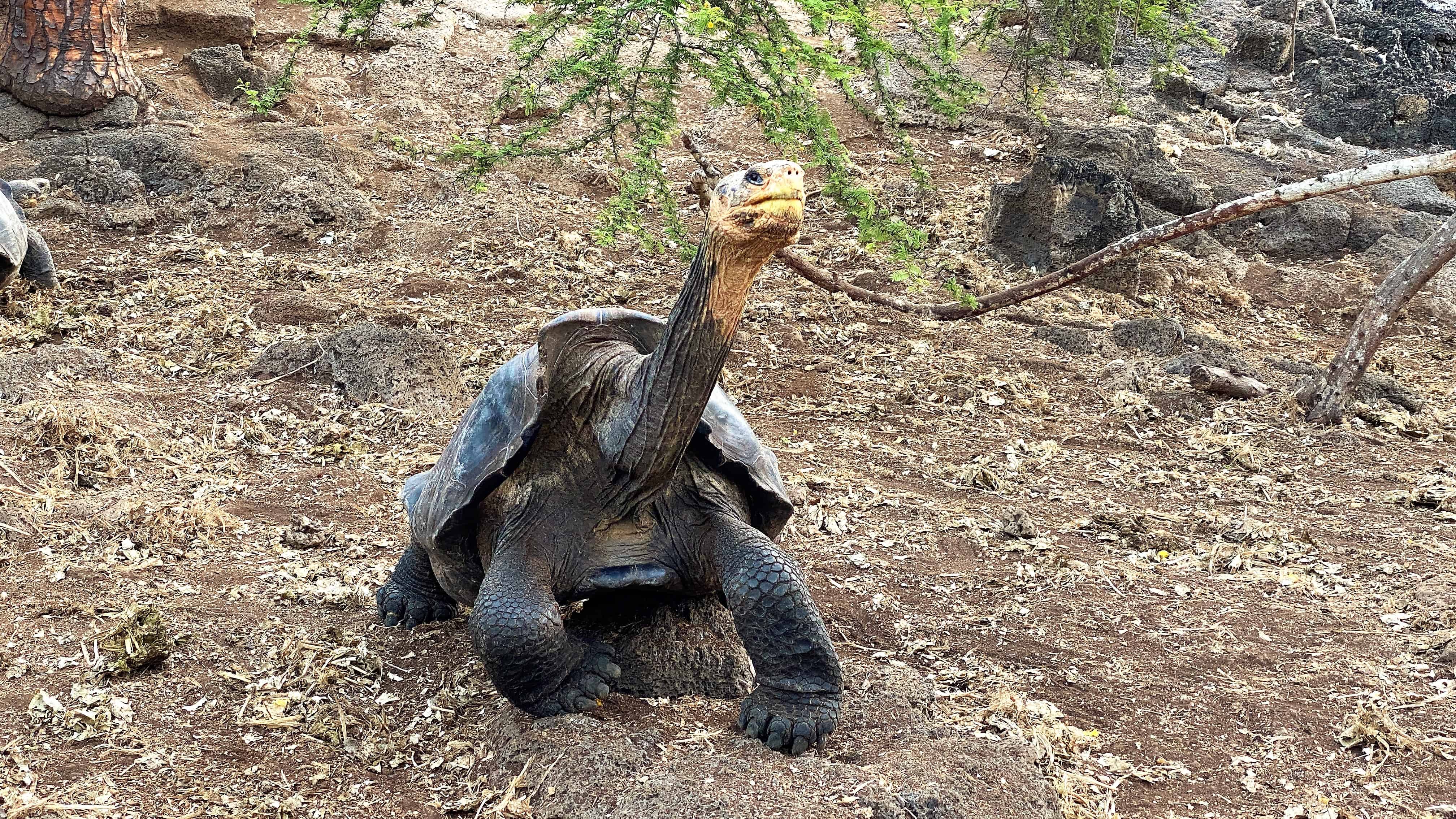 galapagos cruise darwin center