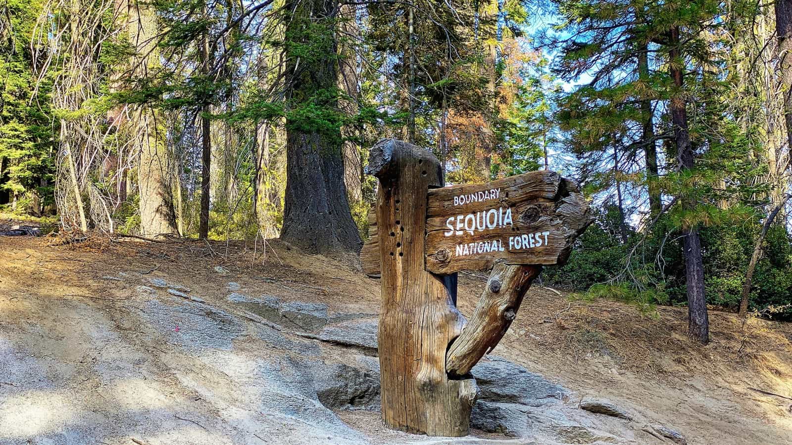 Sequoia National Park