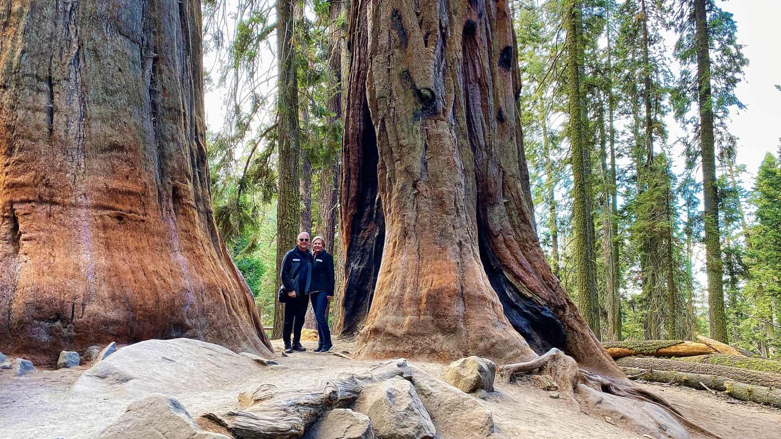 Sequoia National Park