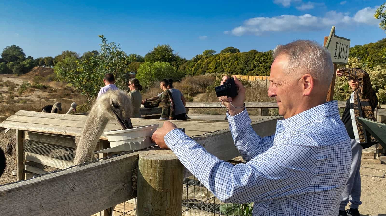 Ostrich land